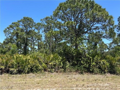 Build your dream home in gorgeous Southwest Florida, where the on Mirror Lakes Golf Club in Florida - for sale on GolfHomes.com, golf home, golf lot