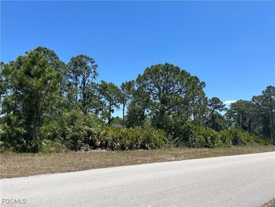 Build your dream home in gorgeous Southwest Florida, where the on Mirror Lakes Golf Club in Florida - for sale on GolfHomes.com, golf home, golf lot