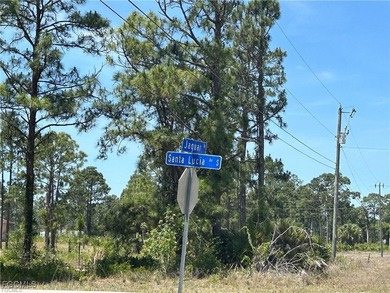 Build your dream home in gorgeous Southwest Florida, where the on Mirror Lakes Golf Club in Florida - for sale on GolfHomes.com, golf home, golf lot