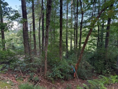 Two adjoining lake front lots on beautiful Lake Toxaway on Lake Toxaway Country Club in North Carolina - for sale on GolfHomes.com, golf home, golf lot
