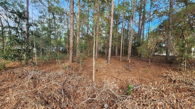 Beautiful homesite on smooth paved road in the growing on Citrus Springs Country Club in Florida - for sale on GolfHomes.com, golf home, golf lot