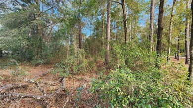 Beautiful homesite on smooth paved road in the growing on Citrus Springs Country Club in Florida - for sale on GolfHomes.com, golf home, golf lot