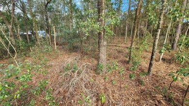 Beautiful homesite on smooth paved road in the growing on Citrus Springs Country Club in Florida - for sale on GolfHomes.com, golf home, golf lot