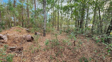 Beautiful homesite on smooth paved road in the growing on Citrus Springs Country Club in Florida - for sale on GolfHomes.com, golf home, golf lot