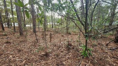 Beautiful homesite on smooth paved road in the growing on Citrus Springs Country Club in Florida - for sale on GolfHomes.com, golf home, golf lot