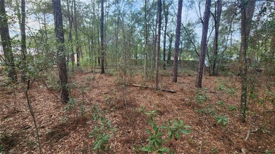 Beautiful homesite on smooth paved road in the growing on Citrus Springs Country Club in Florida - for sale on GolfHomes.com, golf home, golf lot