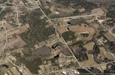 Approximately 64.98+/- Acres located off Star Bluff Road by on Crown Park Golf Club in South Carolina - for sale on GolfHomes.com, golf home, golf lot
