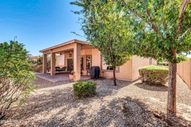 UPGRADED HOME IN THE DESIRABLE COMMUNITY OF TRILOGY AT POWER on Trilogy Golf Club At Power Ranch in Arizona - for sale on GolfHomes.com, golf home, golf lot