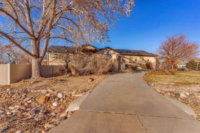 Enter this lovely home through the private courtyard to the on Desert Hawk At Pueblo West in Colorado - for sale on GolfHomes.com, golf home, golf lot