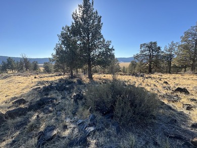 One acre residential lot in gorgeous Running Y Ranch Resort! on Running Y Ranch Resort in Oregon - for sale on GolfHomes.com, golf home, golf lot