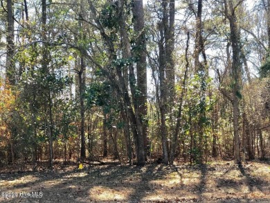 Lot 8 Country Club Hills - Prime Wooded Home Site Near Historic on Washington Yacht and Country Club in North Carolina - for sale on GolfHomes.com, golf home, golf lot