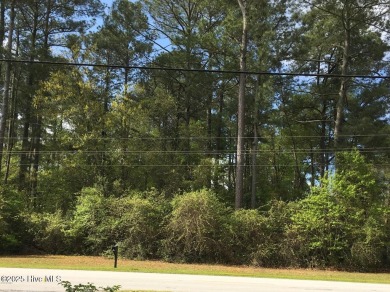 Lot 8 Country Club Hills - Prime Wooded Home Site Near Historic on Washington Yacht and Country Club in North Carolina - for sale on GolfHomes.com, golf home, golf lot