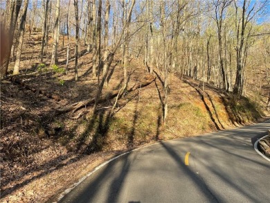 BUILDABLE LOT 4-Acre lot located in North Georgia, mountain on Big Canoe Golf Club - Cherokee in Georgia - for sale on GolfHomes.com, golf home, golf lot