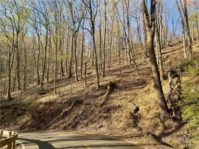 BUILDABLE LOT 4-Acre lot located in North Georgia, mountain on Big Canoe Golf Club - Cherokee in Georgia - for sale on GolfHomes.com, golf home, golf lot