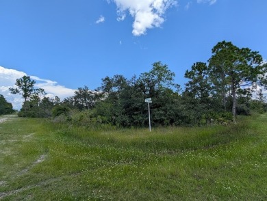 Come build your forever home on this one-half acre corner lot on Indian Lake Estates Golf and Country Club in Florida - for sale on GolfHomes.com, golf home, golf lot