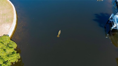 EXPERIENCE PANORAMIC WIDE BASIN & ENDLESS INTERSECTING CANAL on Saint Andrews South Golf Club in Florida - for sale on GolfHomes.com, golf home, golf lot