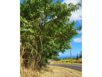A beautiful, rare lot (#120) sits at the center of a peaceful on Discovery Harbour Golf Course in Hawaii - for sale on GolfHomes.com, golf home, golf lot