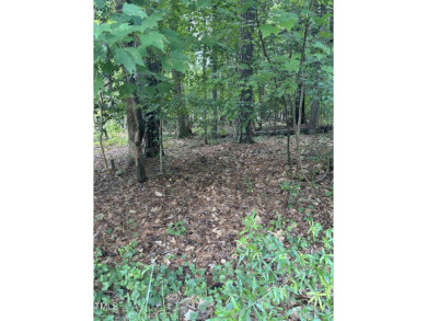 NICE BUILDABLE LOT ! Looking to build your new home? This lot is for sale on GolfHomes.com