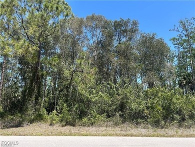 Build Your Dream Home! Discover the perfect opportunity to build on Mirror Lakes Golf Club in Florida - for sale on GolfHomes.com, golf home, golf lot