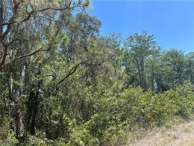 Build Your Dream Home! Discover the perfect opportunity to build on Mirror Lakes Golf Club in Florida - for sale on GolfHomes.com, golf home, golf lot