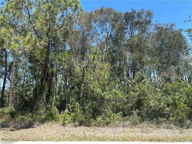 Build Your Dream Home! Discover the perfect opportunity to build on Mirror Lakes Golf Club in Florida - for sale on GolfHomes.com, golf home, golf lot