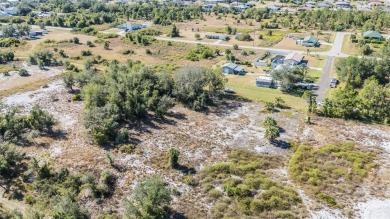 Discover the perfect location for your dream home! This cleared on Deep Creek Golf Club in Florida - for sale on GolfHomes.com, golf home, golf lot