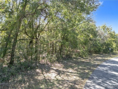 Oversized (0.68 acre) lot located on Citrus Springs Golf and on Citrus Springs Country Club in Florida - for sale on GolfHomes.com, golf home, golf lot