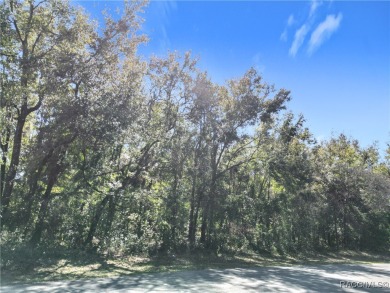 Oversized (0.68 acre) lot located on Citrus Springs Golf and on Citrus Springs Country Club in Florida - for sale on GolfHomes.com, golf home, golf lot
