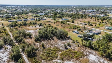 Discover the perfect location for your dream home! This cleared on Deep Creek Golf Club in Florida - for sale on GolfHomes.com, golf home, golf lot