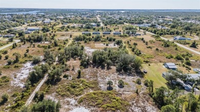 Discover the perfect location for your dream home! This cleared on Deep Creek Golf Club in Florida - for sale on GolfHomes.com, golf home, golf lot