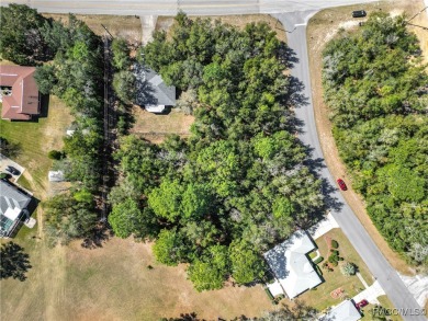 Oversized (0.68 acre) lot located on Citrus Springs Golf and on Citrus Springs Country Club in Florida - for sale on GolfHomes.com, golf home, golf lot