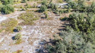 Discover the perfect location for your dream home! This cleared on Deep Creek Golf Club in Florida - for sale on GolfHomes.com, golf home, golf lot