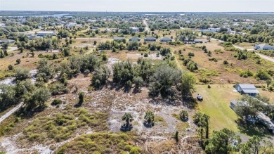 Discover the perfect location for your dream home! This cleared on Deep Creek Golf Club in Florida - for sale on GolfHomes.com, golf home, golf lot