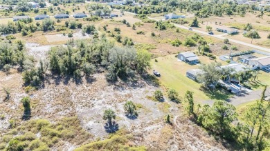 Discover the perfect location for your dream home! This cleared on Deep Creek Golf Club in Florida - for sale on GolfHomes.com, golf home, golf lot