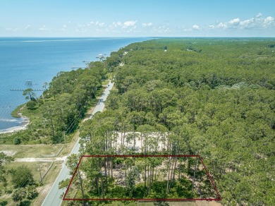 Stunning homesite with Bay views in Carrabelle's St. James area on St. James Bay in Florida - for sale on GolfHomes.com, golf home, golf lot