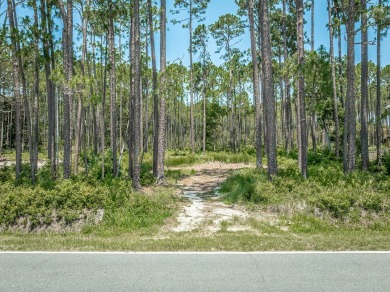 Stunning homesite with Bay views in Carrabelle's St. James area on St. James Bay in Florida - for sale on GolfHomes.com, golf home, golf lot