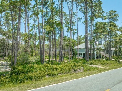 Stunning homesite with Bay views in Carrabelle's St. James area on St. James Bay in Florida - for sale on GolfHomes.com, golf home, golf lot