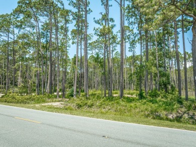 Stunning homesite with Bay views in Carrabelle's St. James area on St. James Bay in Florida - for sale on GolfHomes.com, golf home, golf lot