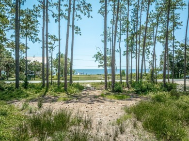 Stunning homesite with Bay views in Carrabelle's St. James area on St. James Bay in Florida - for sale on GolfHomes.com, golf home, golf lot