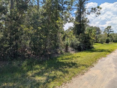 Come build your forever home on this one-half acre corner lot on Indian Lake Estates Golf and Country Club in Florida - for sale on GolfHomes.com, golf home, golf lot