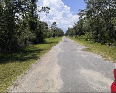 Come build your forever home on this one-half acre corner lot on Indian Lake Estates Golf and Country Club in Florida - for sale on GolfHomes.com, golf home, golf lot