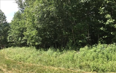 This 1.18 lot has some of the most amazing views of Blairsville on Butternut Creek Golf Course in Georgia - for sale on GolfHomes.com, golf home, golf lot
