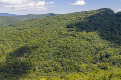 Set on 6.93 acres, this secluded homesite offers stunning close on Natures Walk At Chinquapin in North Carolina - for sale on GolfHomes.com, golf home, golf lot