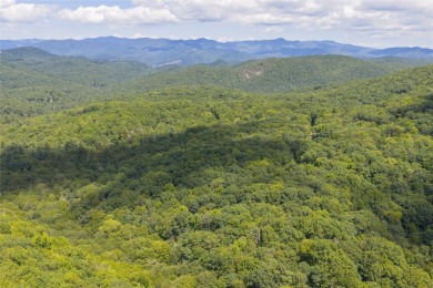 Set on 6.93 acres, this secluded homesite offers stunning close on Natures Walk At Chinquapin in North Carolina - for sale on GolfHomes.com, golf home, golf lot