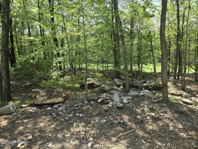 Brand New Construction on the 2nd Hole of The Hideout Golf on The Hideout Golf in Pennsylvania - for sale on GolfHomes.com, golf home, golf lot