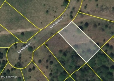Welcome to 417 Ladybug Lane, an exceptional opportunity to build on  in Tennessee - for sale on GolfHomes.com, golf home, golf lot