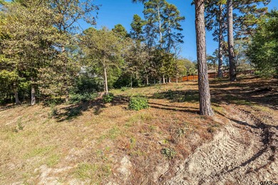 Build your dream home in the heart of Hideaway Lake on this on Hide-A-Way Lake Golf Course in Texas - for sale on GolfHomes.com, golf home, golf lot