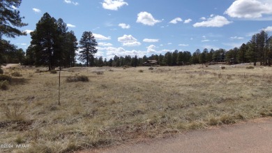 0.28ac lot in the beautiful mountains of Heber-Overgaard. With on Pine Meadows Country Club in Arizona - for sale on GolfHomes.com, golf home, golf lot