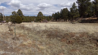 0.28ac lot in the beautiful mountains of Heber-Overgaard. With on Pine Meadows Country Club in Arizona - for sale on GolfHomes.com, golf home, golf lot