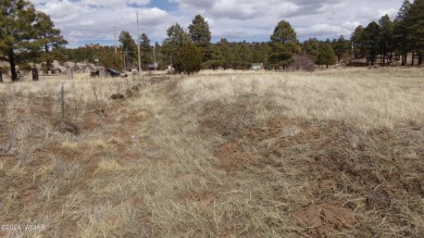 0.28ac lot in the beautiful mountains of Heber-Overgaard. With on Pine Meadows Country Club in Arizona - for sale on GolfHomes.com, golf home, golf lot